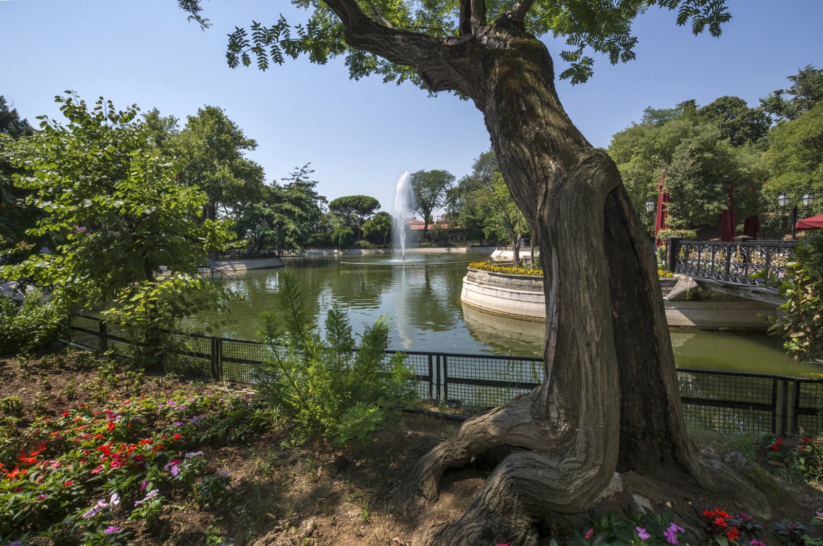 Yıldız Park is one of the largest public parks in Istanbul and was once part of the imperial garden of Yildiz Palace, Istanbul, Türkiye. (Getty Images Photo)