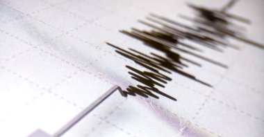 Richter scale showing earthquake waves in this undated file photo. (Shutterstock File Photo)