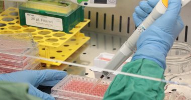 Antibody-related molecules are being developed against COVID-19 at Kocaeli University, Kocaeli, Türkiye, Jan. 4, 2023. (AA Photo)