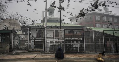 Pigeons fly over a beggar woman sitting by a roadside under a thick fog on a cold morning in Srinagar, Kashmir, Dec 28, 2023. (AP Photo)