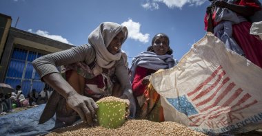 An Ethiopian woman scoops up portions of wheat to be allocated to each waiting family after it was distributed by the Relief Society of Tigray in the town of Agula, in the Tigray region of northern Ethiopia on May 8, 2021. (AP File Photo)