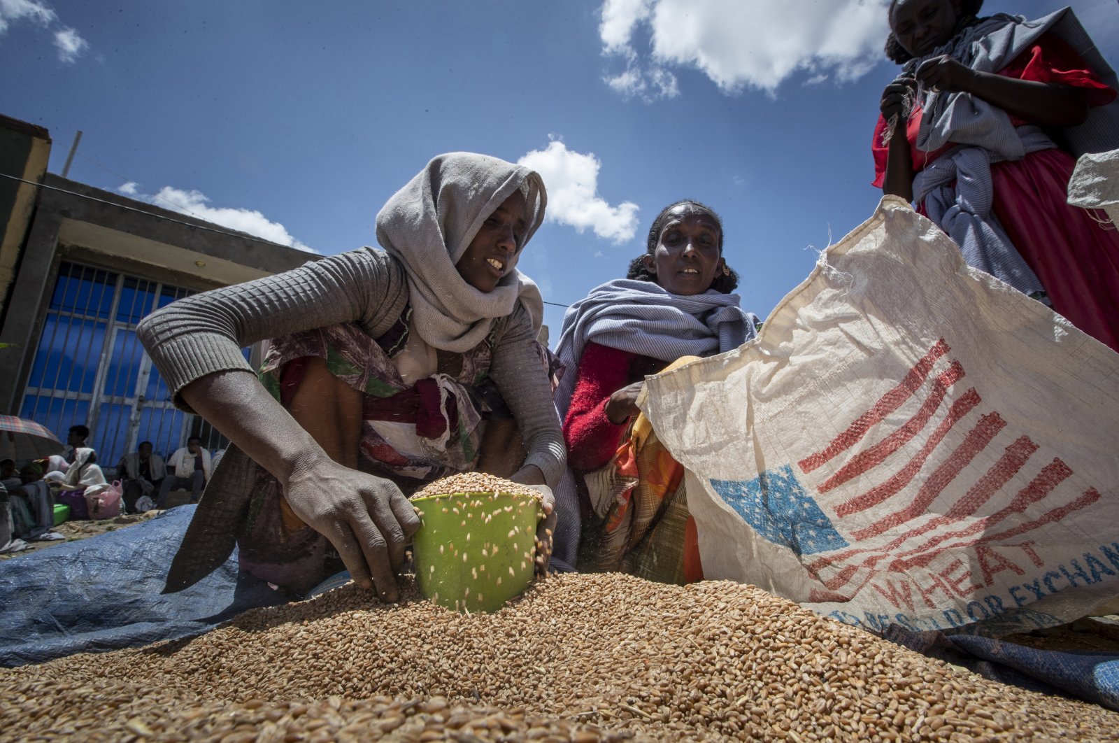 An Ethiopian woman scoops up portions of wheat to be allocated to each waiting family after it was distributed by the Relief Society of Tigray in the town of Agula, in the Tigray region of northern Ethiopia on May 8, 2021. (AP File Photo)