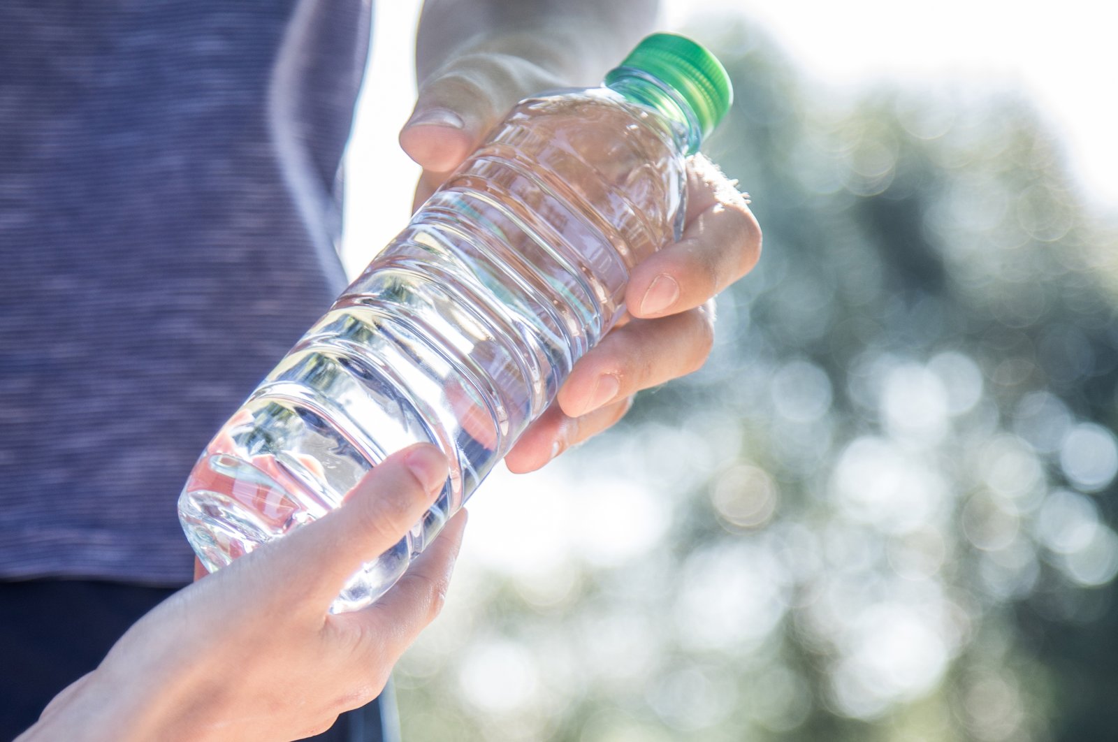 Tiny plastic particles in water bottles are so small they can get inside cells and even be passed from mother to child in the womb, researchers say. (dpa Photo)