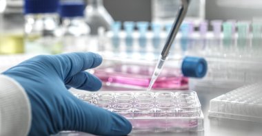 Oxford scientists are examining the potential of applying COVID-19 vaccine technology against the lethal Nipah virus, which would mark the first-ever vaccine for the disease. (Getty Images Photo)