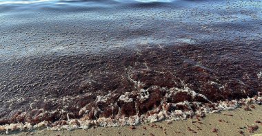Strong lodos winds affect the Marmara region, Tekirdağ, Istanbul, Türkiye, Jan. 18, 2024. (DHA Photo)