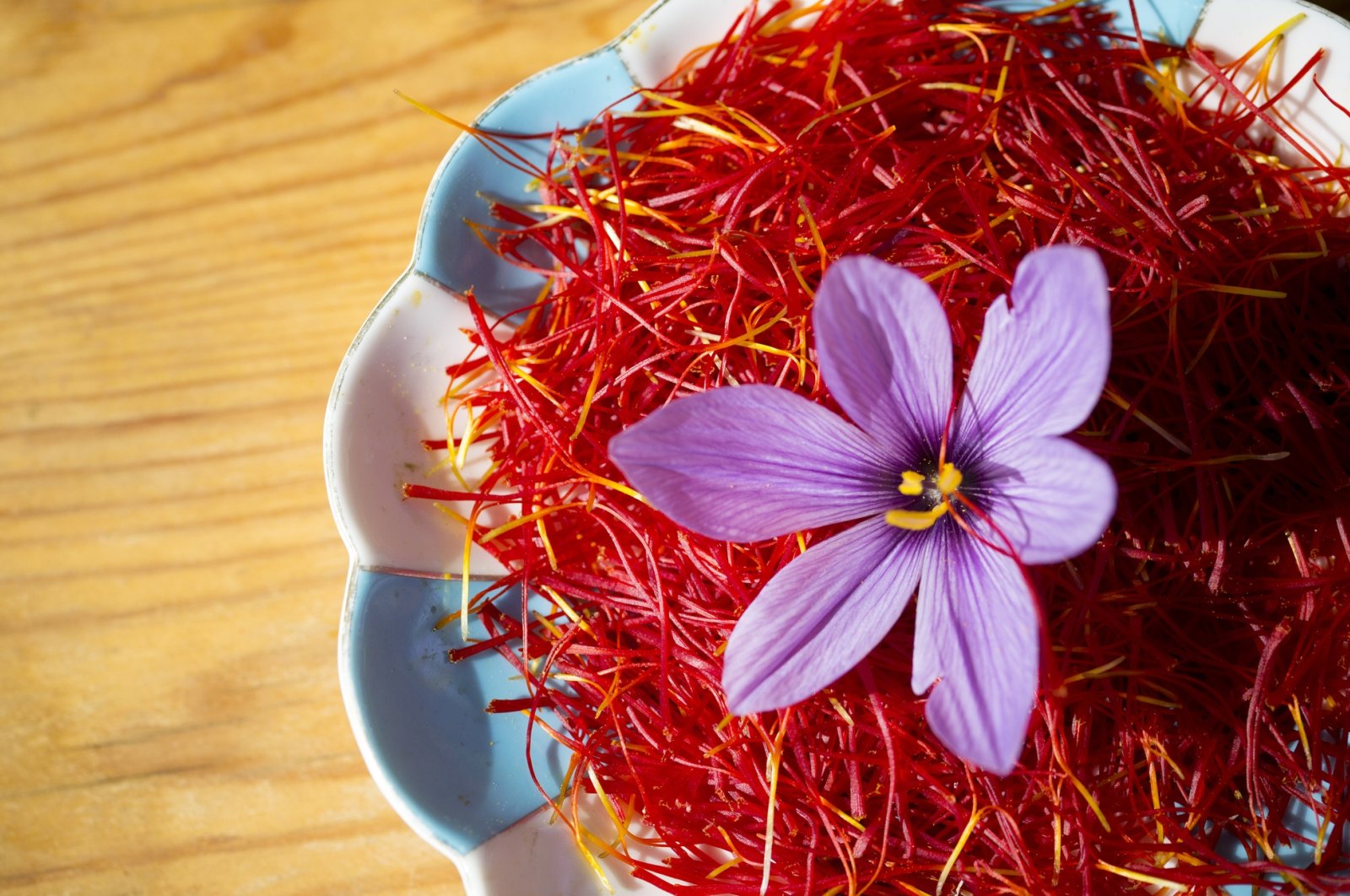 Safranbolu saffron is the 19th product from Türkiye to make the EU&#039;s geographical indication list. (Getty Images Photo)