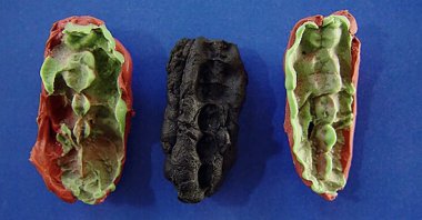 This undated handout picture released on Jan.23, 2024, by Stockholm University shows two casts and an original prehistoric chewing gum discovered in the Huseby Klev, Western Coast of Sweden. (AFP Photo via Verner Alexandersen/Stockholm University)