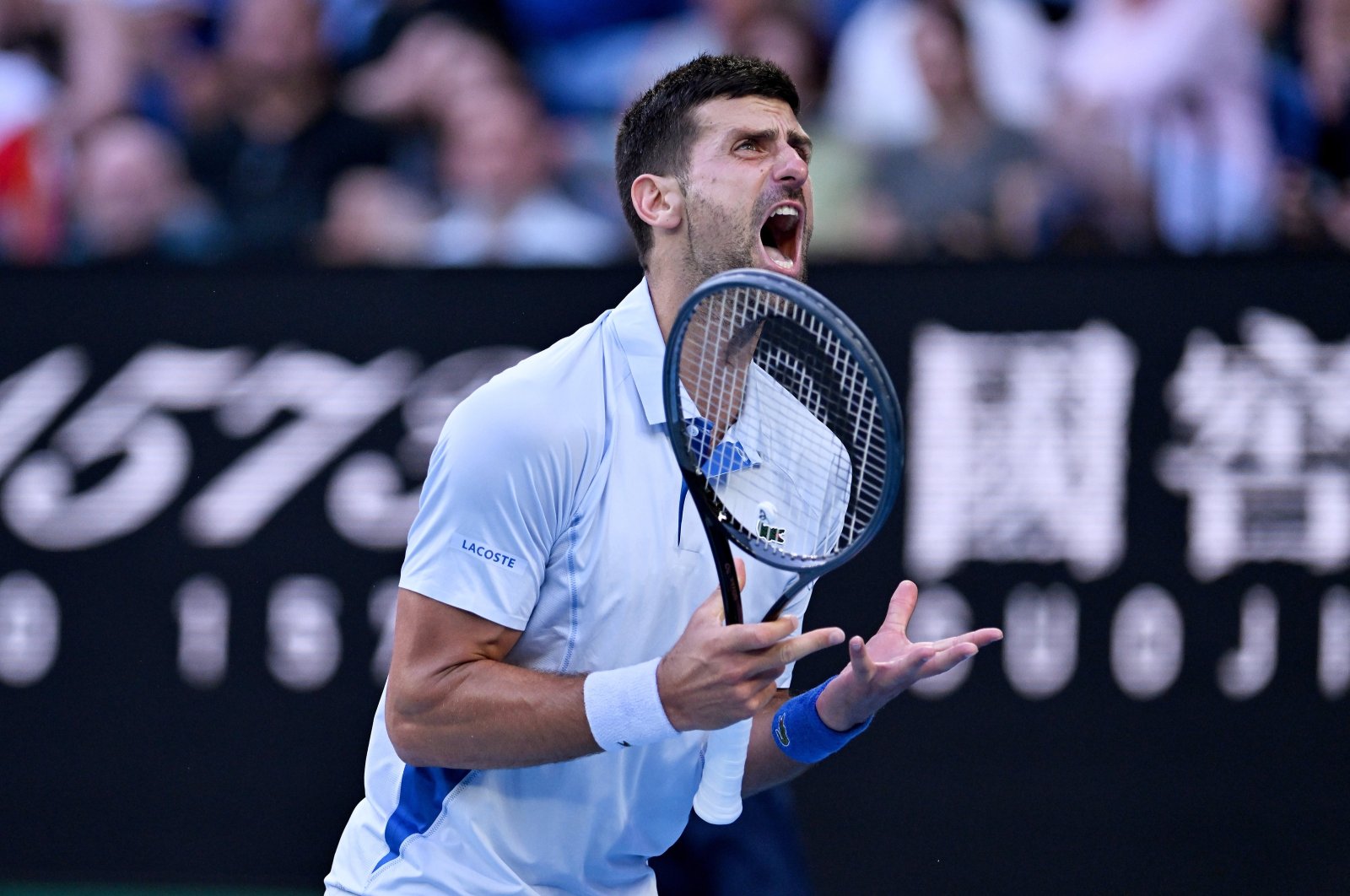 Serbia&#039;s Novak Djokovic yells during his quarterfinal match against U.S.&#039; Taylor Fritz at the 2024 Australian Open, Melbourne, Australia, Jan. 23, 2024. (EPA Photo)