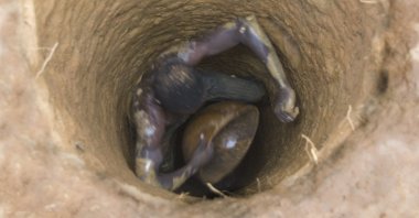 This undated photo shows a worker at an unregulated gold mine in Mali. (Getty Images)