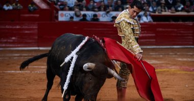 Amid a legal dispute over bullfights in Mexico City, the festival tied to Candelaria persists annually from Jan. 28 to Feb. 9, featuring cultural events among Tlacotalpan's vibrant painted houses. (AFP Photos)