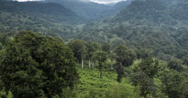 An undated aerial view of Kenya's Aberdare Range, where plans are underway to build a 32-mile (51-kilometer) tarmac road despite environmental objections, sparking debate over conservation versus development. (Getty Images Photo)