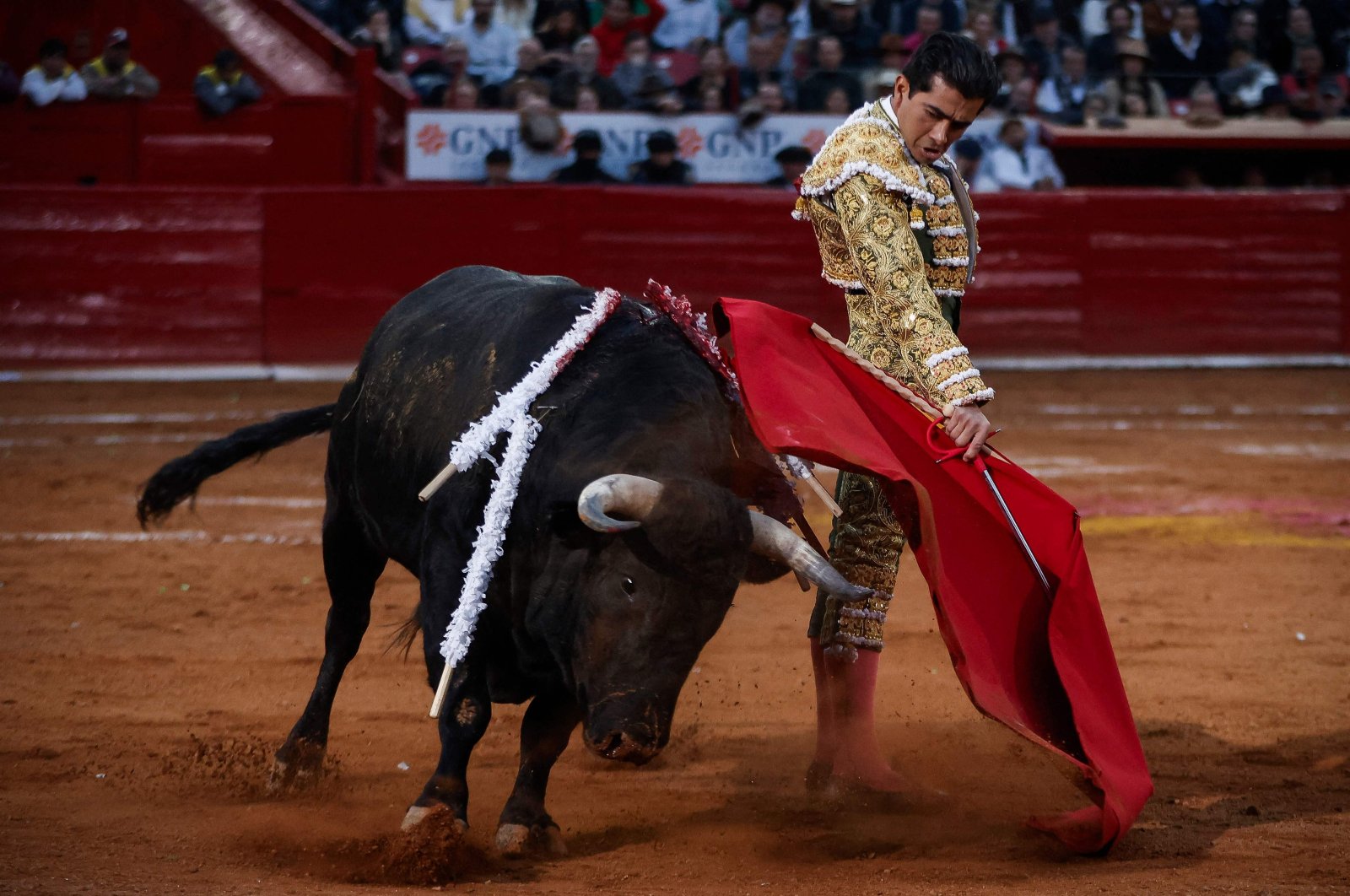 Amid a legal dispute over bullfights in Mexico City, the festival tied to Candelaria persists annually from Jan. 28 to Feb. 9, featuring cultural events among Tlacotalpan&#039;s vibrant painted houses. (AFP Photos)