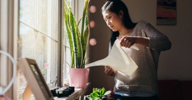 Beginning your summer flowers and vegetables indoors during cooler weather can provide them with a head start, making them more robust for outdoor transplantation later on. (Getty Images Photo)