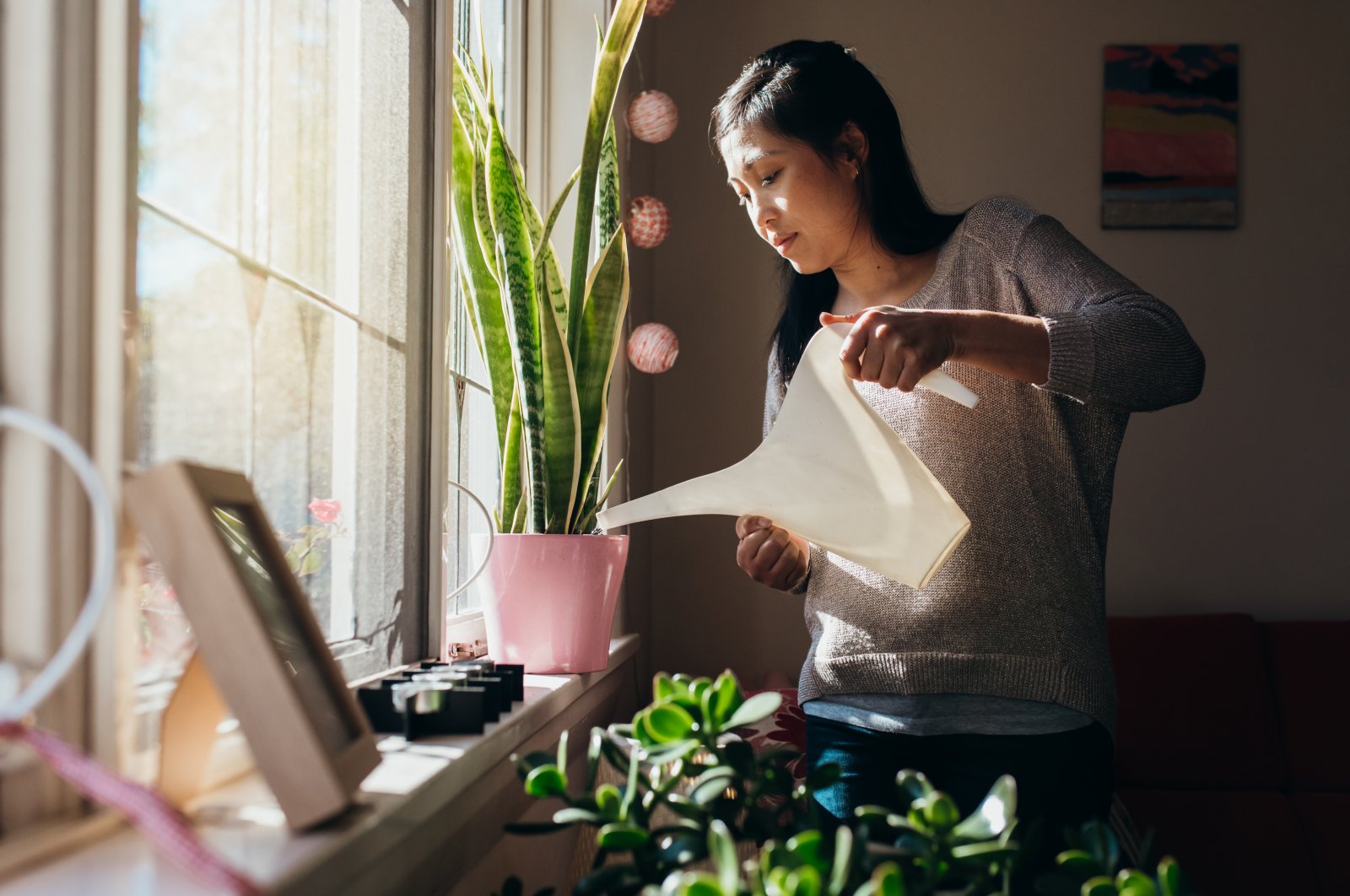 Beginning your summer flowers and vegetables indoors during cooler weather can provide them with a head start, making them more robust for outdoor transplantation later on. (Getty Images Photo)