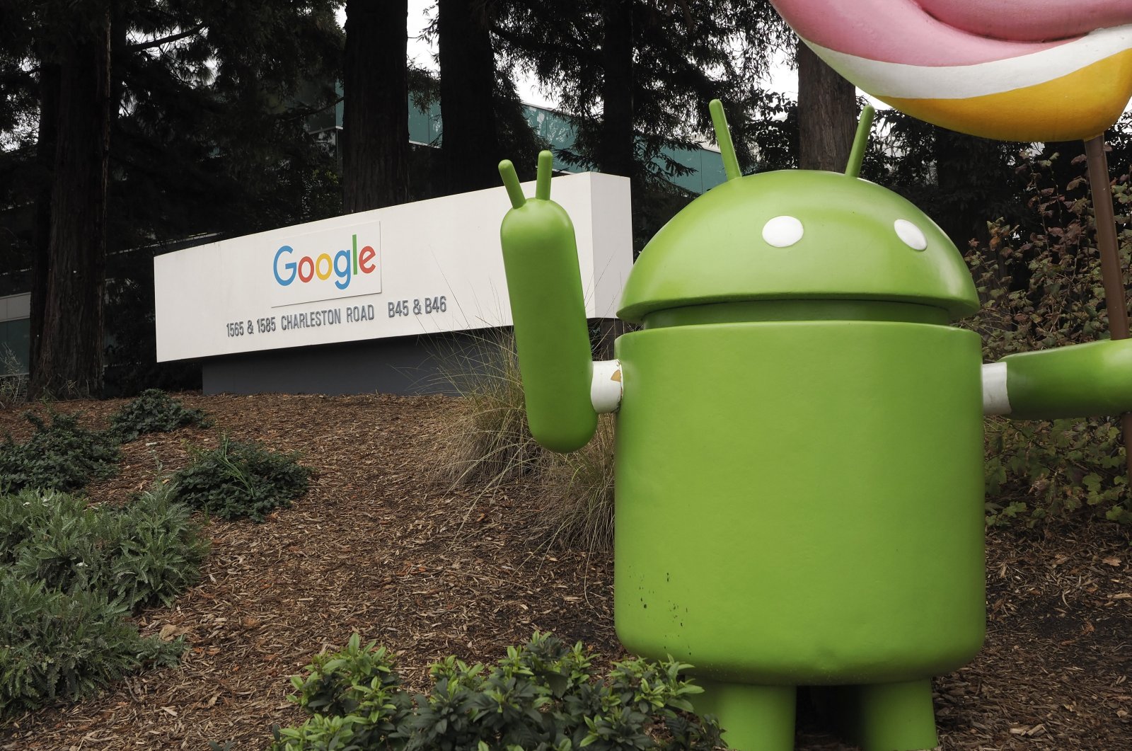 Google signage and Google Android on the Google campus in Mountain View, California, U.S., Jan. 19,  2024. (EPA Photo)