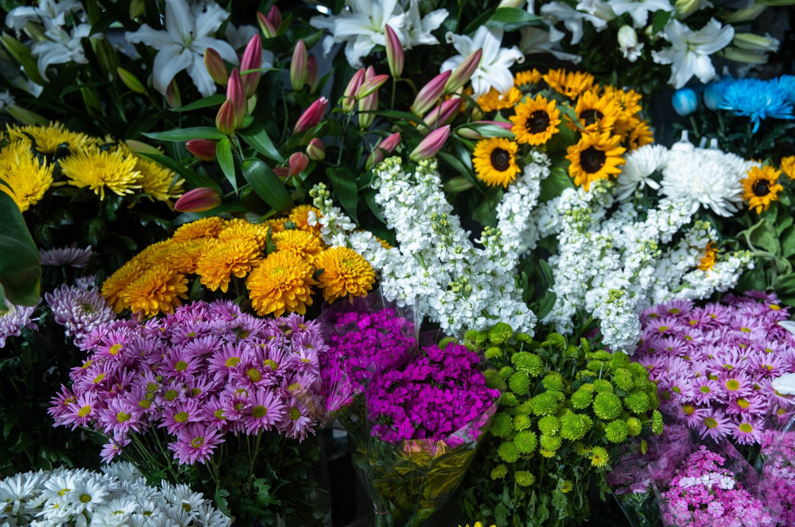 Flowers for sale in a store in Ankara, Türkiye, Feb. 9, 2024. (AA Photo)