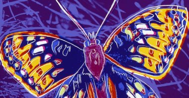 &quot;San Francisco Silverspot&quot; by Andy Warhol. (Photo courtesy of Istanbul Tulip Museum)