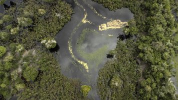 Researchers highlight the urgent need for action as they predict that 10% to 47% of Amazonian forests will face compounding disturbances by 2050, potentially triggering unexpected ecosystem shifts and worsening regional climate change. (EPA Photo)