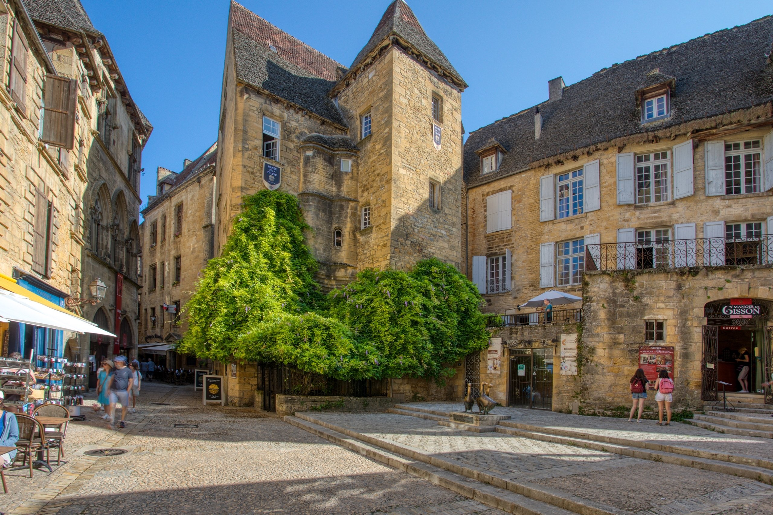 France&#039;s southwestern Perigord province is famous for black truffles. A new museum in Sarlat explains all you need to know about the high-end delicacy and also offers Perigord truffles to try. (dpa Photo)
