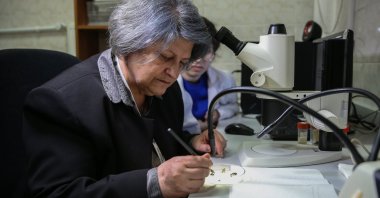 Forensic Biology Specialist Nihal Açıkgöz briefs about insect usage in clarifying murder cases, Anakra, Türkiye, Feb. 19, 2024. (AA Photo)