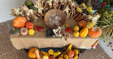 A variety of vegetables and fruits grown by heirloom seeds are presented on the table, Izmir, Türkiye, Feb. 21, 2024. (IHA Photo)