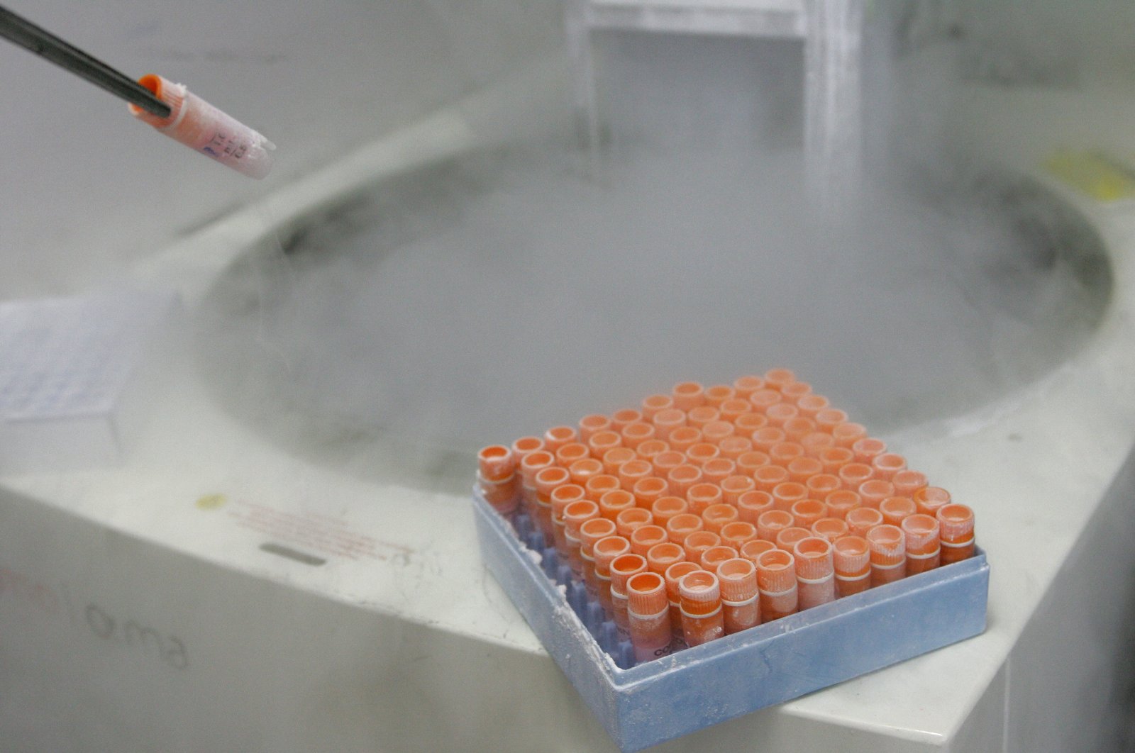 A scientific researcher handles frozen embryonic stem cells in a laboratory, in Sao Paulo, Brazil, March 4, 2008. (AFP Photo)
