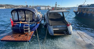 Thousands of jellyfish were seen on Beşiktaş beach, Istanbul, Türkiye, Feb. 23, 2024. (AA Photo)