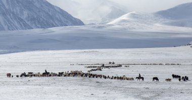 &quot;Between February and April, Kazakh nomads in western Mongolia migrate 150 kilometers across the Altai Mountains due to weather, accompanied by their livestock, Bayan-Olgiy, Western Mongolia. (Getty Images Photo)