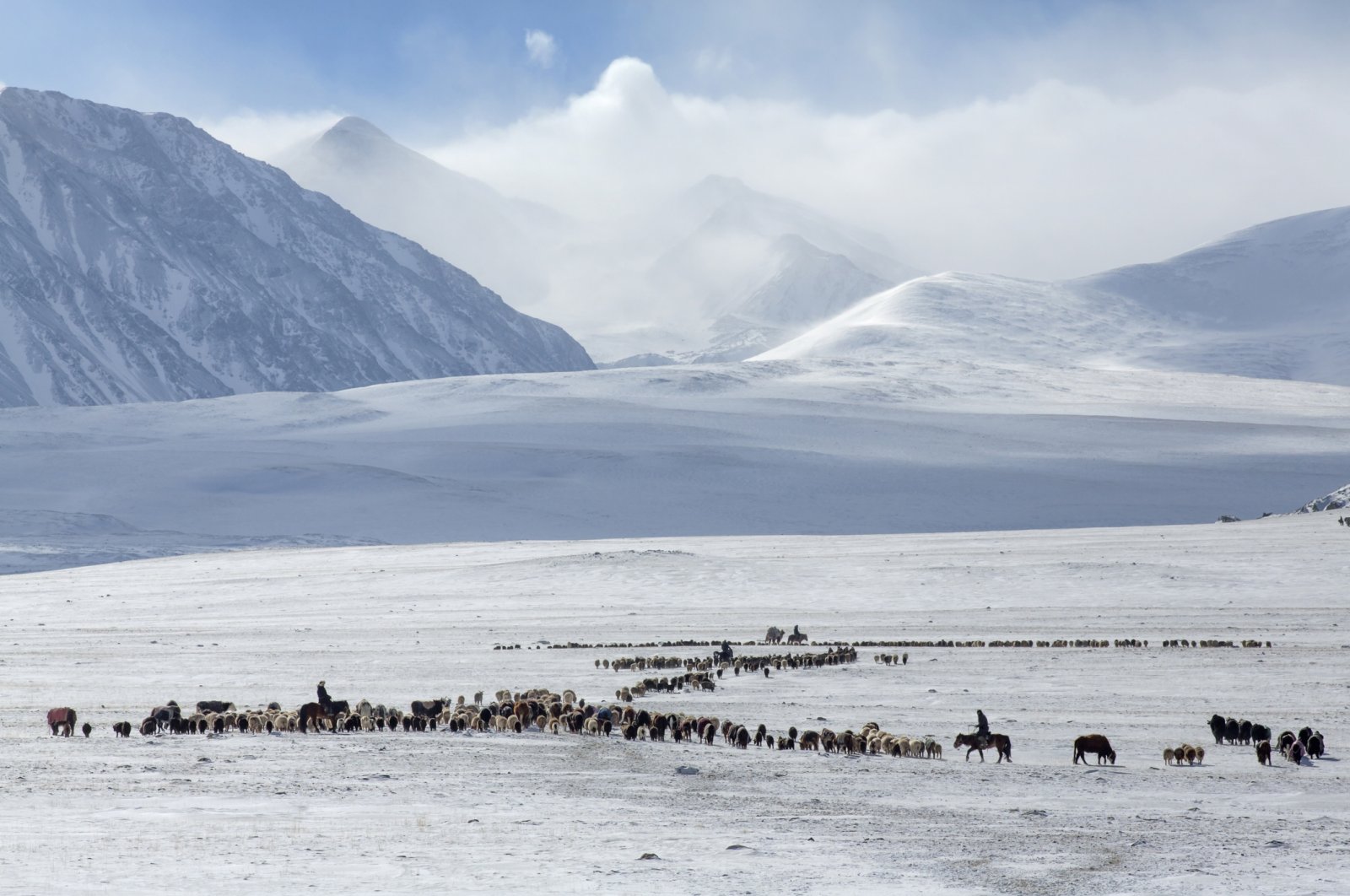 &quot;Between February and April, Kazakh nomads in western Mongolia migrate 150 kilometers across the Altai Mountains due to weather, accompanied by their livestock, Bayan-Olgiy, Western Mongolia. (Getty Images Photo)