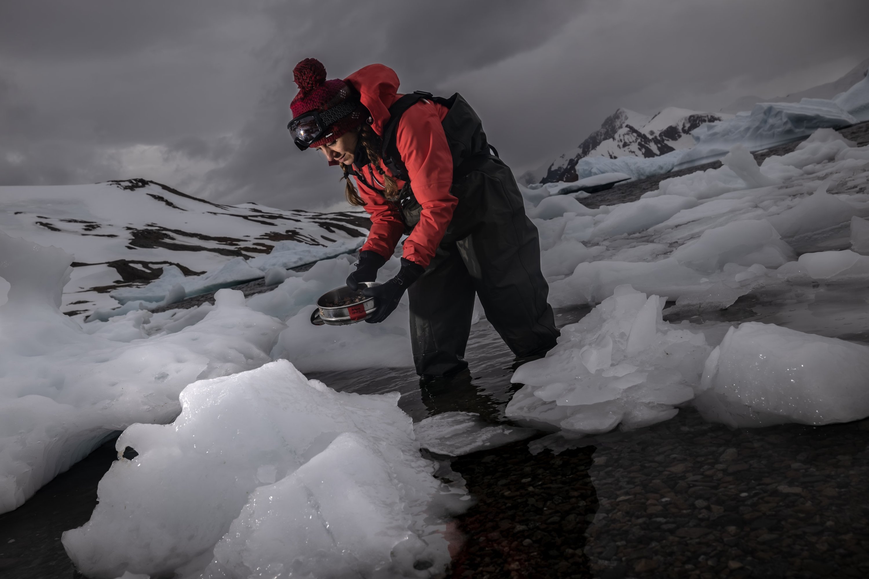 Professor Ülgen Aytan conducts research on Horseshoe Island, Antarctica, Feb. 28, 2024. (AA Photo)