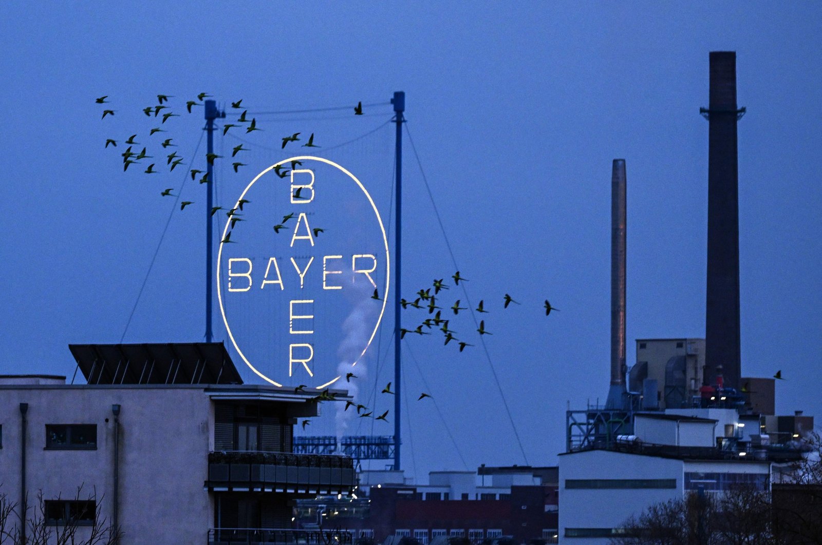 A flock of birds fly past the logo of German chemical and pharmaceutical giant Bayer above the group&#039;s plant, Leverkusen, Germany, March 4, 2024. (AFP Photo)