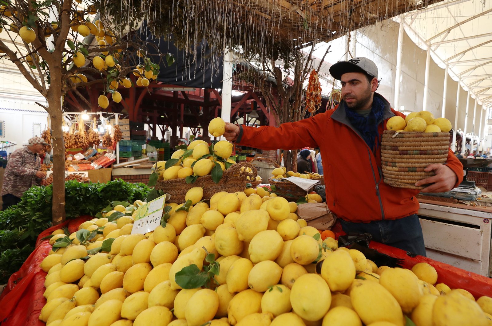 A Tunisian vendor sells lemons at a market in Tunis, Tunisia, March 8, 2024. (EPA Photo)