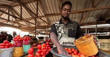 Farouk Dalhatu, a tomato seller attends to a buyer in a community market of Agodo, Lagos, Nigeria, March 6, 2024. (Reuters Photo)