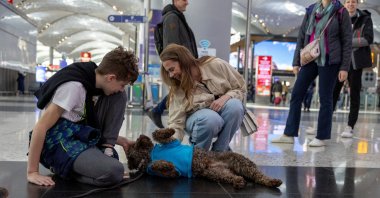 Stressed passengers at Istanbul Airport comforted by roaming therapy dogs, Istanbul, Türkiye, March 11, 2024 (Reuters Photo)