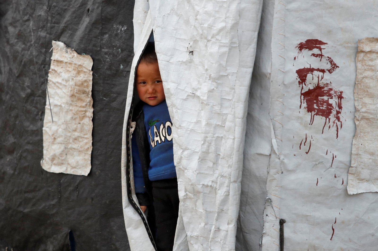A boy looks out from inside a tent in al-Roj camp, Syria, Jan. 10, 2020. (Reuters File Photo)