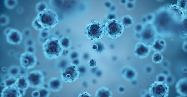 Japan faces a concerning surge in cases of a deadly bacterial infection which promptes urgent warnings from experts. (Shutterstock Photo)