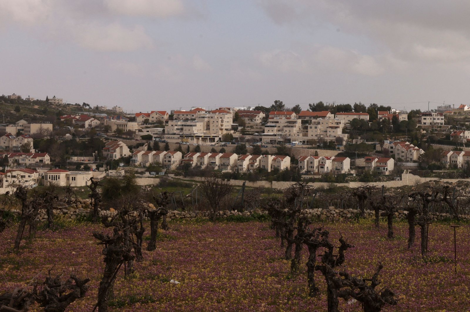 This photograph shows the illegal Israeli settlement of Efrata built on the land of the Palestinian town of Al-Khader in the Bethlehem governorate in the occupied West Bank on March 6, 2024. (AFP Photo)