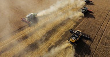 Combines harvest wheat in a field of a local agricultural enterprise in the Cherlaksky district of the Omsk region, Russia, Sept. 8, 2023. (Reuters Photo)
