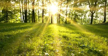 Equinoxes mark the start of spring and autumn. (Shutterstock Photo)