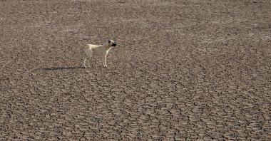 A view of the cracked surface of the May Dam, which was hit by extreme drought in Konya, central Türkiye, March 21, 2024. (AA Photo)