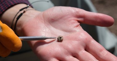 A stone bead excavated from a grave at Boncuklu Tarla in Mardin province, southeastern Türkiye, 2023. (Reuters Photo)