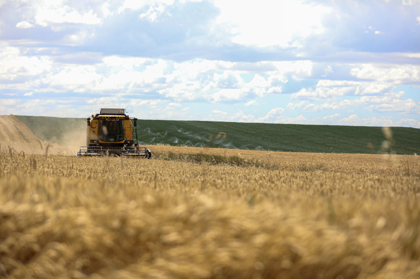 A combine harvester harvests wheat on a field in the Polatlı district, Ankara, Türkiye, July 8, 2021. (Reuters Photo)