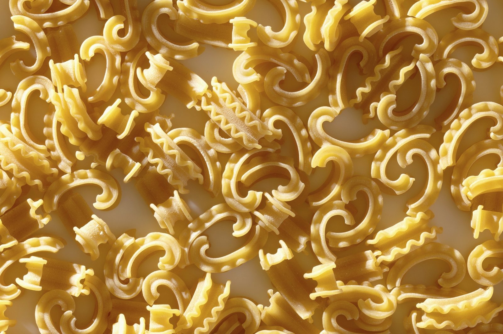 The new pasta shape called Cascatelli, created by food writer and podcaster Dan Pashman. (AP Photo)