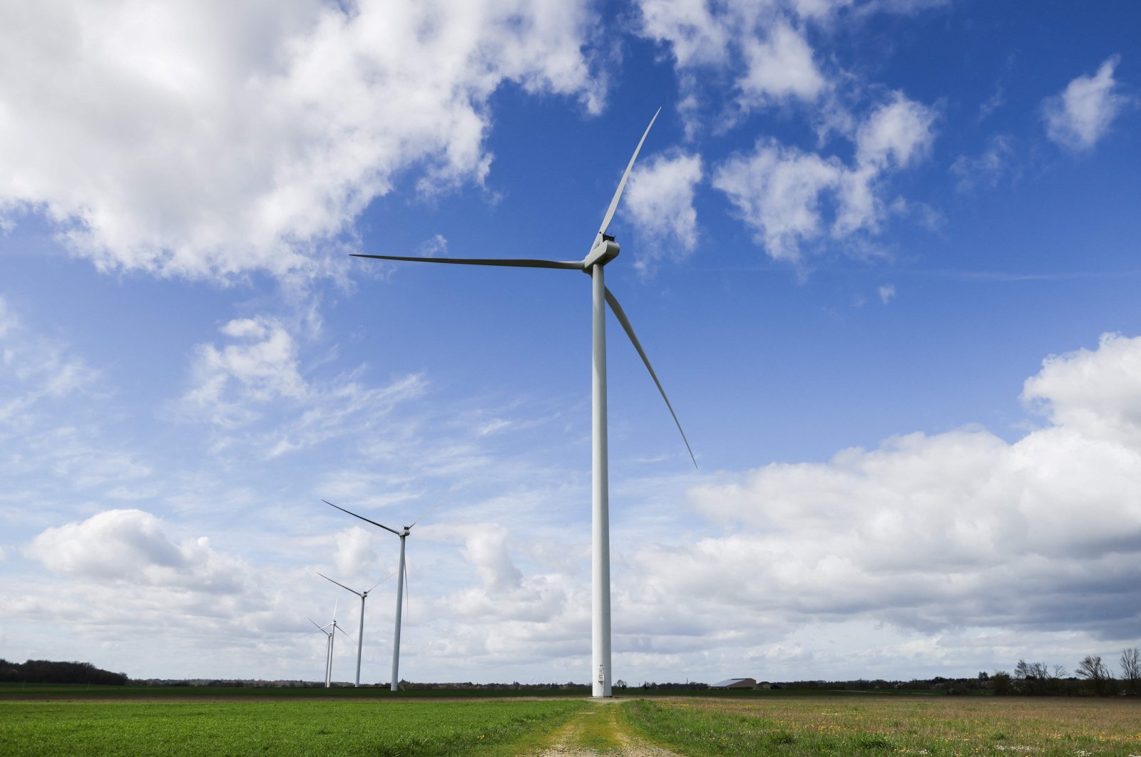 Wind turbines in a field near Sauze-Vaussais, western France, March 23, 2024. (AFP Photo)