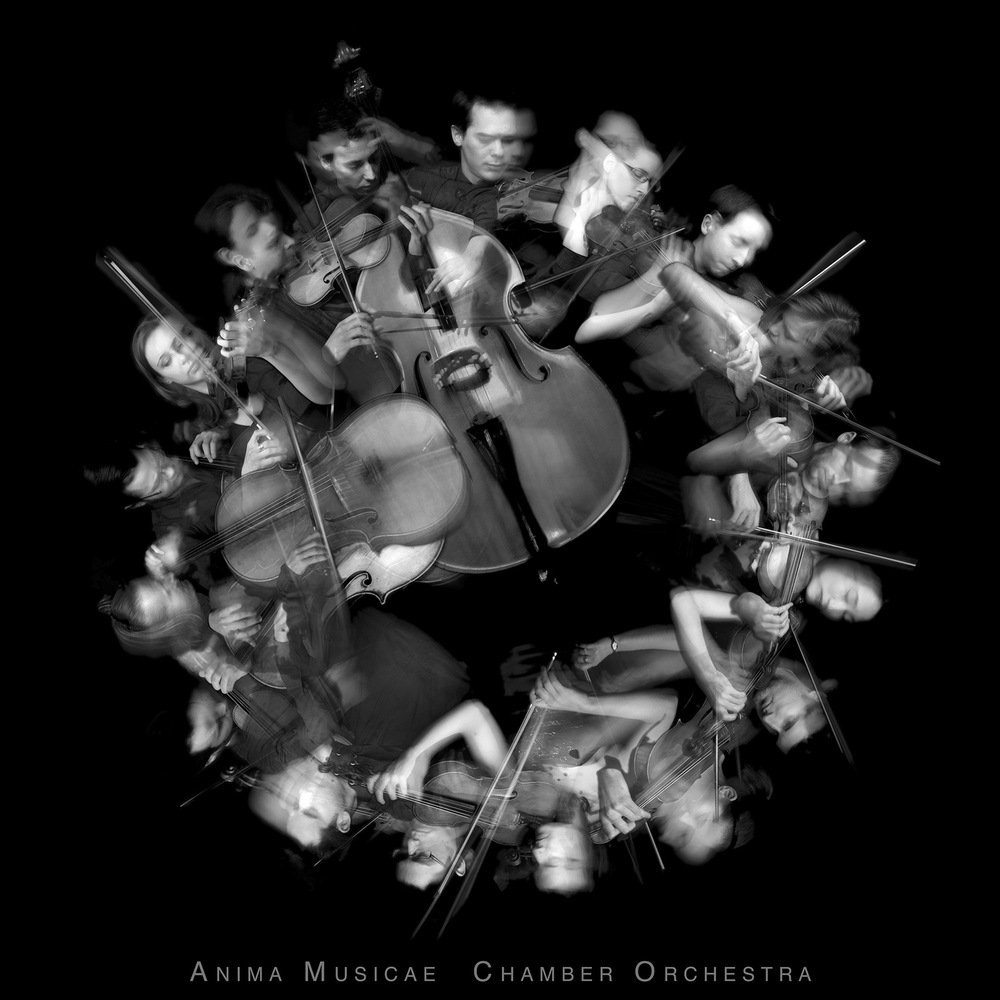 A poster for the Anima Musicae Chamber Orchestra. (Courtesy of the Hungarian Cultural Center)