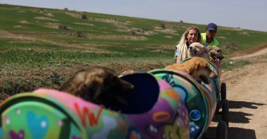 Buket Özgünlü, chairperson of the Paws Holding on to Life Association (Yaşa Pati), takes disabled dogs for a ride with a makeshift train at a shelter in Ankara, Türkiye, April 4, 2024. (Reuters Photo)