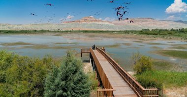 Bird Paradise (Kuşcenneti) National Park, Balıkesir province, northwestern Türkiye, Oct. 16, 2020. (AA Photo)