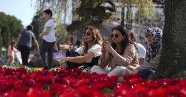 Visitors enjoy the tulips in Sultanahmet Square, Istanbul, Türkiye, May 6, 2024. (AA Photo)