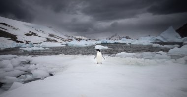 Turkish researchers participating in the 8th National Antarctic Science Expedition carried out their work in a way that would protect the surrounding ecosystem of the White Continent, April 12, 2024. (AA Photo)