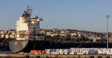 A container ship is docked at Haydarpaşa port in Istanbul, Türkiye, May 27, 2022. (Reuters Photo)